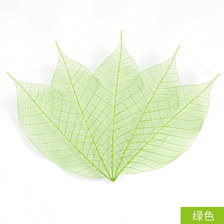 transparent-skeleton-leaves-for-diy-floral-decoration-7-9cm-multi-color-preserved-leaves