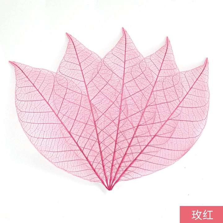 transparent-skeleton-leaves-for-diy-floral-decoration-7-9cm-multi-color-preserved-leaves