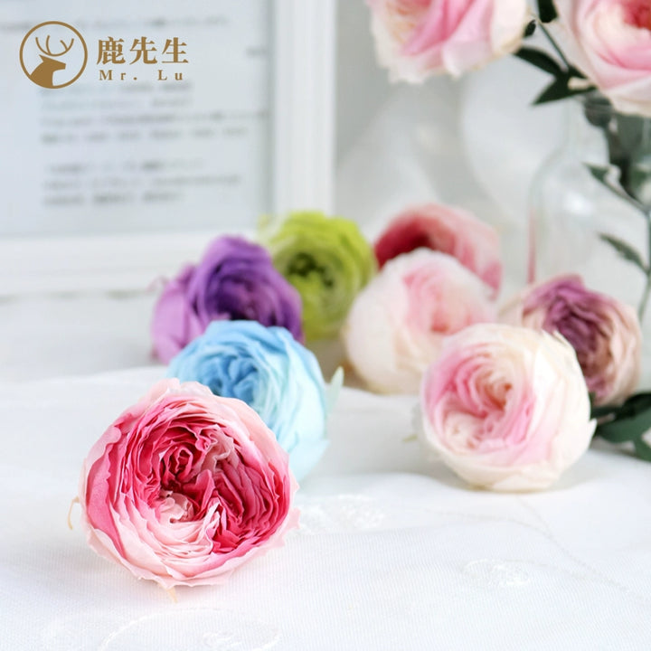 bicolor-preserved-austin-rose-1-piece-4-5cm-gradient-bloom-for-diy-floral-arrangements