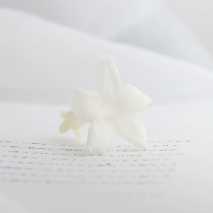 preserved-jasmine-flower-1-piece-3-4cm-bloom-for-diy-floral-arrangements-and-craft