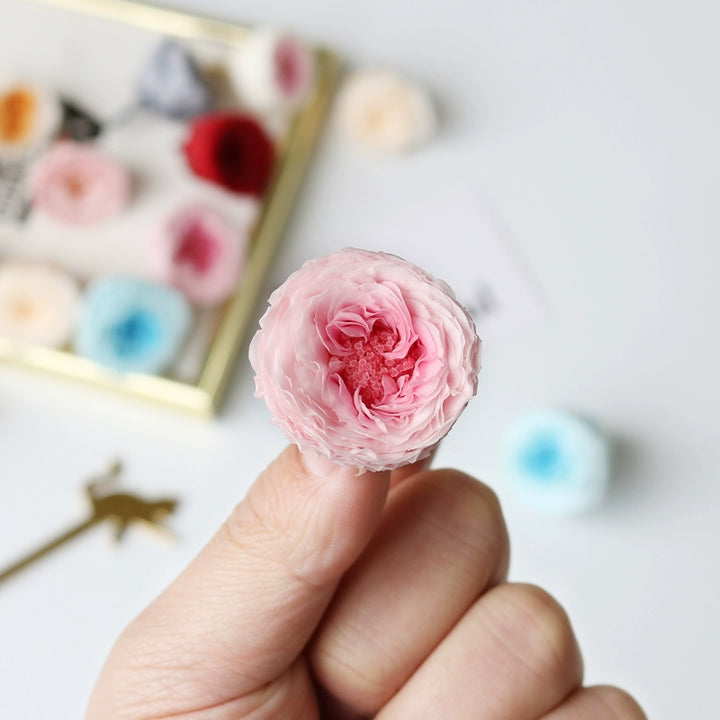 Mini David Austin Preserved Roses – 2-3CM DIY Craft Kit