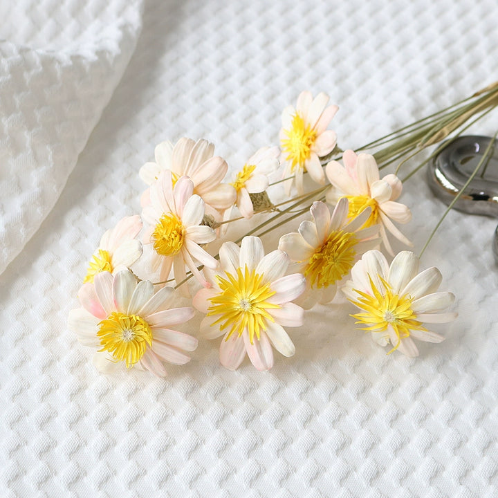 Preserved Daisy For DIY Craft (10 Stems) – 5-6CM Blooms for Floral Decor