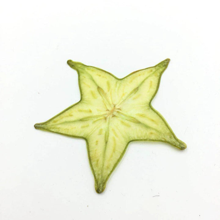 5 Pcs Dried Pressed Star Fruit for DIY Crafts