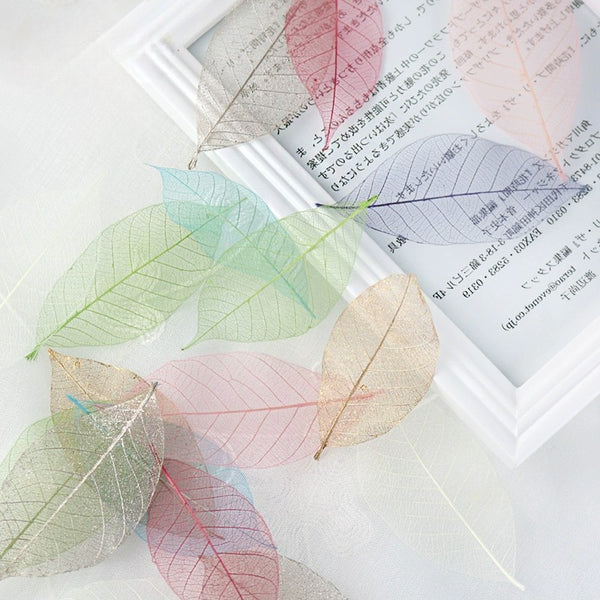 Transparent Skeleton Leaves for DIY Floral Decoration – 7-9CM, Multi-Color Preserved Leaves