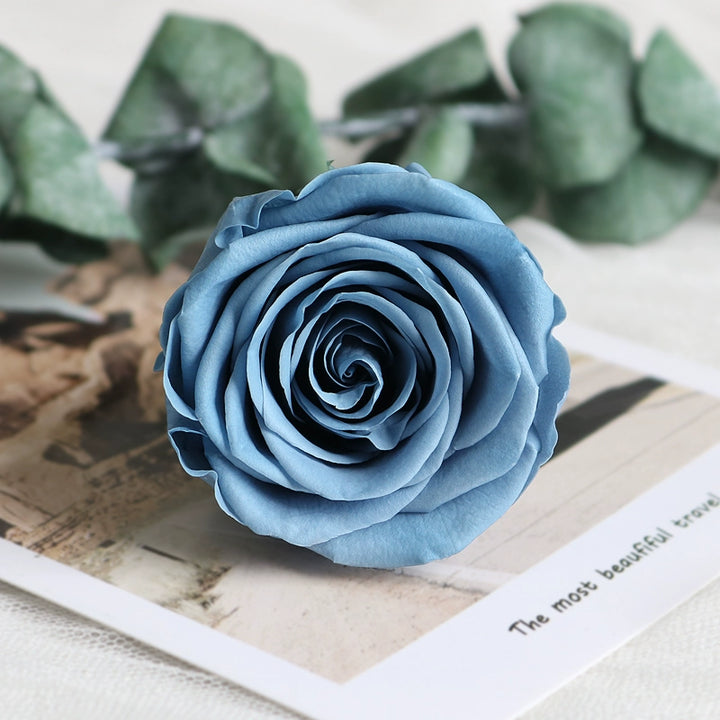 Preserved Single Rose Head for DIY Crafting – 4-5cm, Multiple Color Options