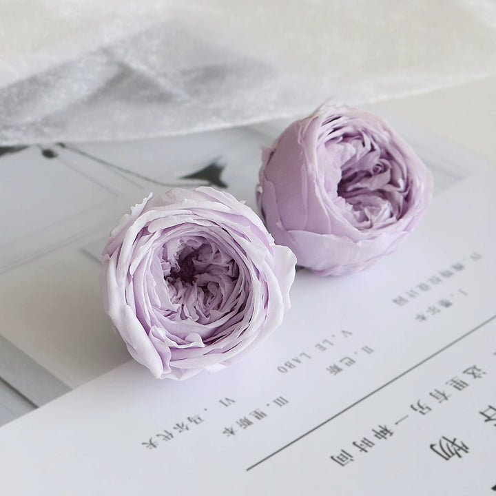 preserved-austin-rose-1-piece-4-5cm-single-bloom-for-diy-floral-arrangements-and-decor