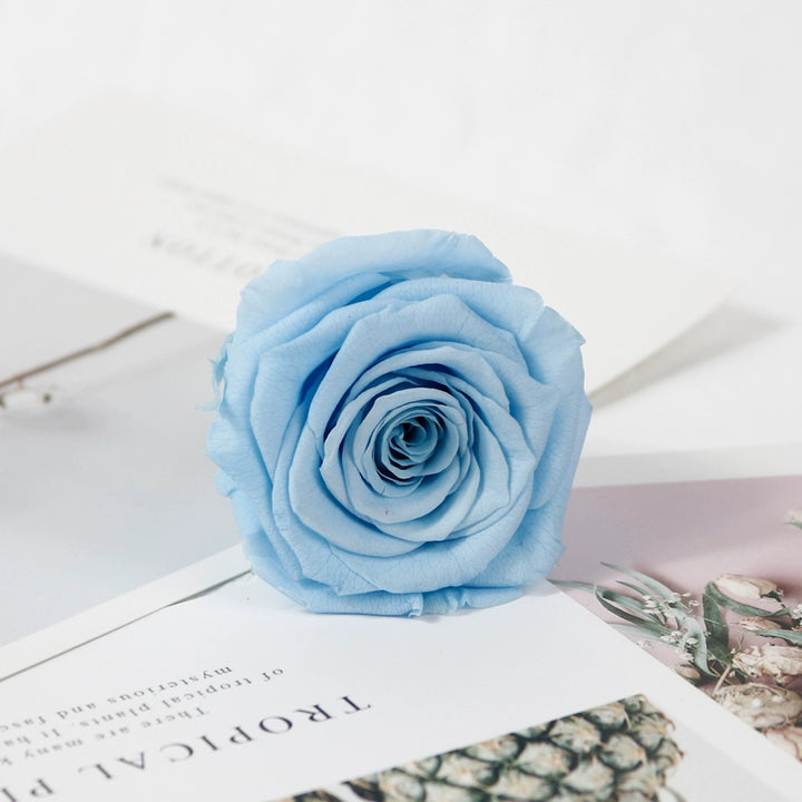 preserved-roses-5-6cm-single-rose-for-floral-decorations-and-gifts