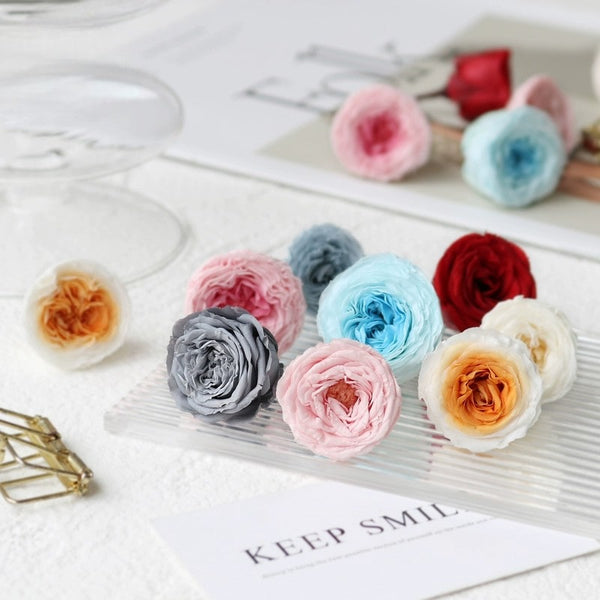 Mini David Austin Preserved Roses – 2-3CM DIY Craft Kit