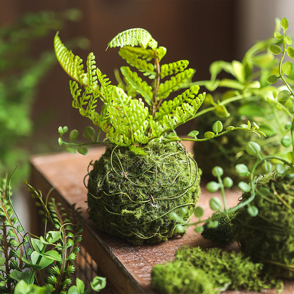 Decorative Artificial Dried Moss Balls with Vine