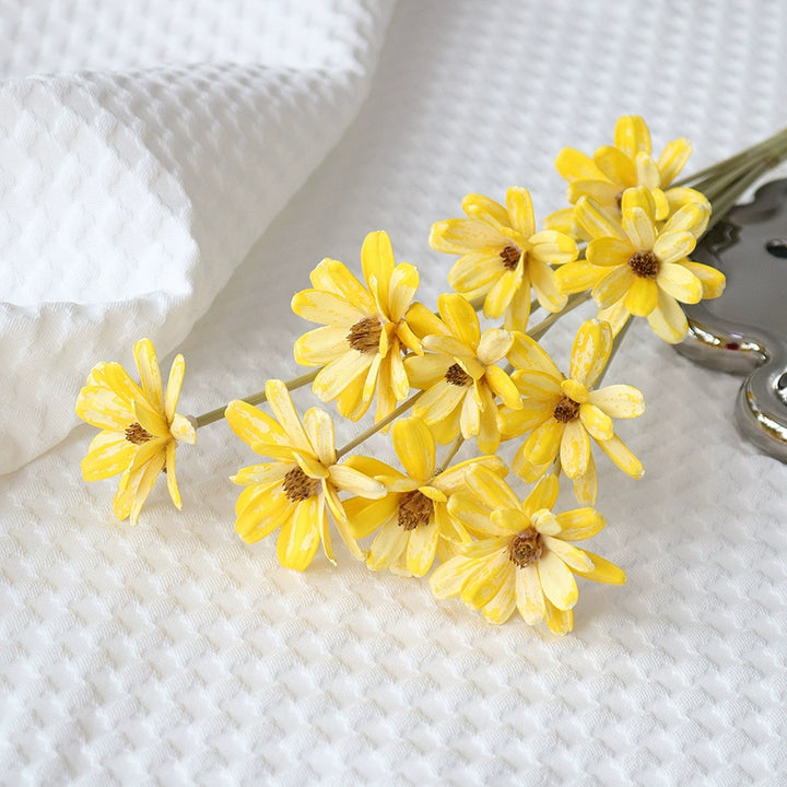 Preserved Daisy For DIY Craft (10 Stems) – 5-6CM Blooms for Floral Decor