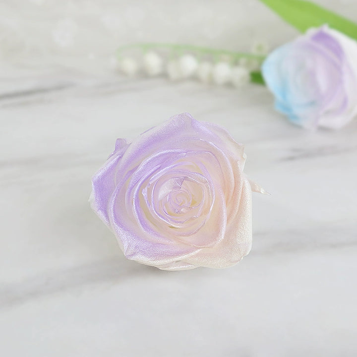 Pearlescent Preserved Rose For DIY Bouquet – 5-6CM Bloom for Crafting and Decor