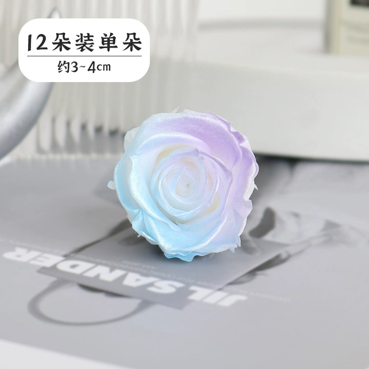 Pearlescent Preserved Rose For DIY Bouquet – 5-6CM Bloom for Crafting and Decor