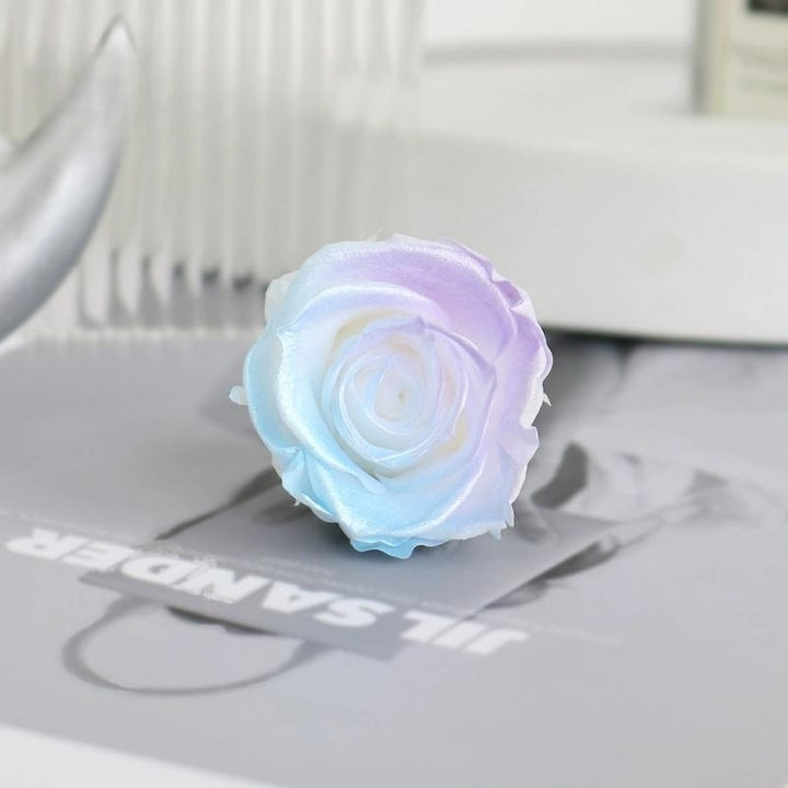 Pearlescent Preserved Rose For DIY Bouquet – 5-6CM Bloom for Crafting and Decor