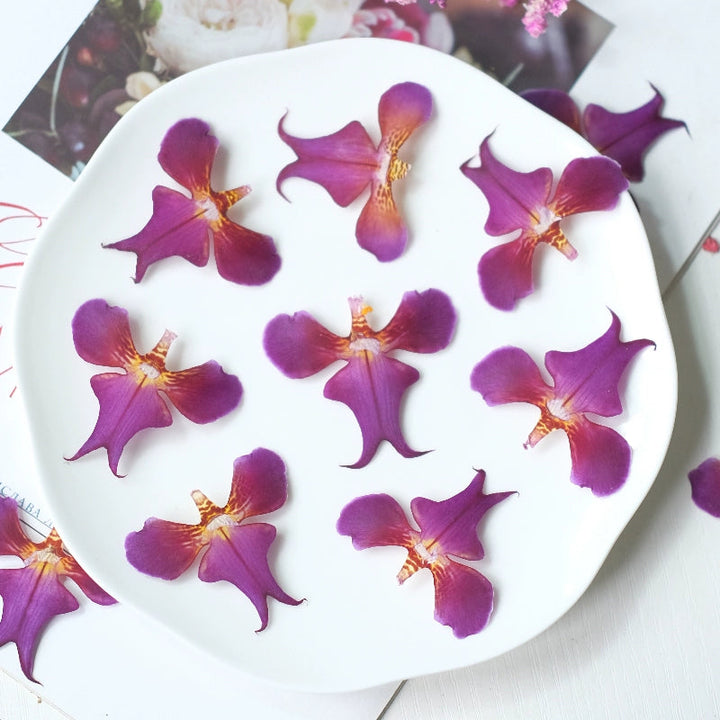 20 Pcs Real Pressed Dried Iris Flowers