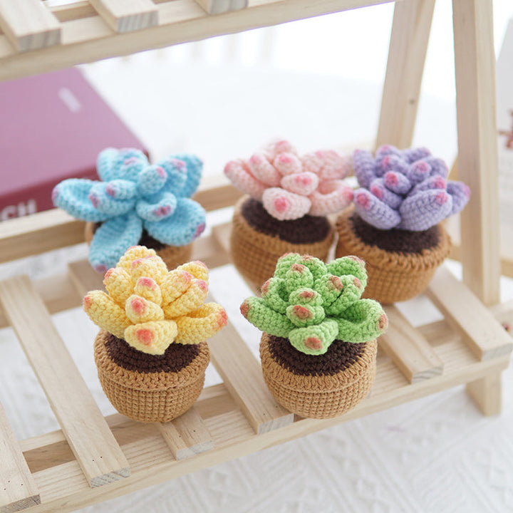 Crocheted Small Potted Succulent Plants