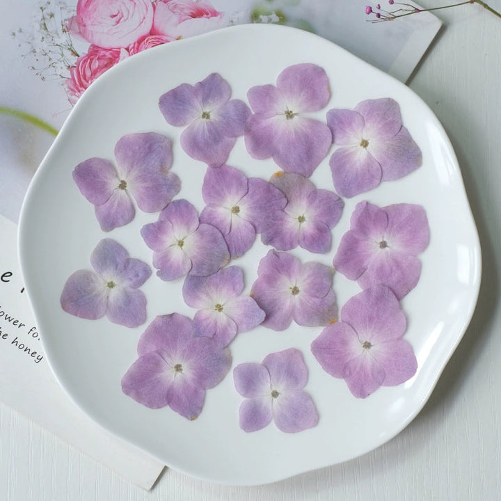 50 Pcs Pressed Dried Hydrangea Flower for DIY Crafts