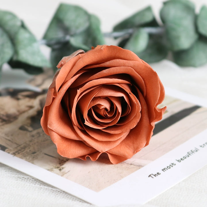 Preserved Single Rose Head for DIY Crafting – 4-5cm, Multiple Color Options