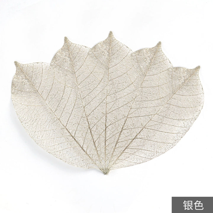 transparent-skeleton-leaves-for-diy-floral-decoration-7-9cm-multi-color-preserved-leaves