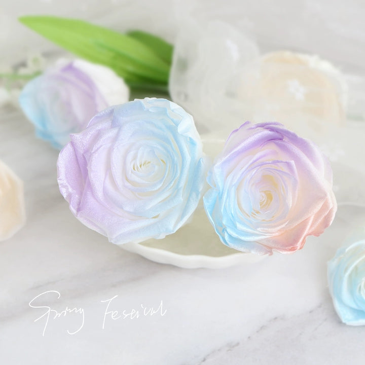 Iridescent Preserved Roses, 2-6cm Pack