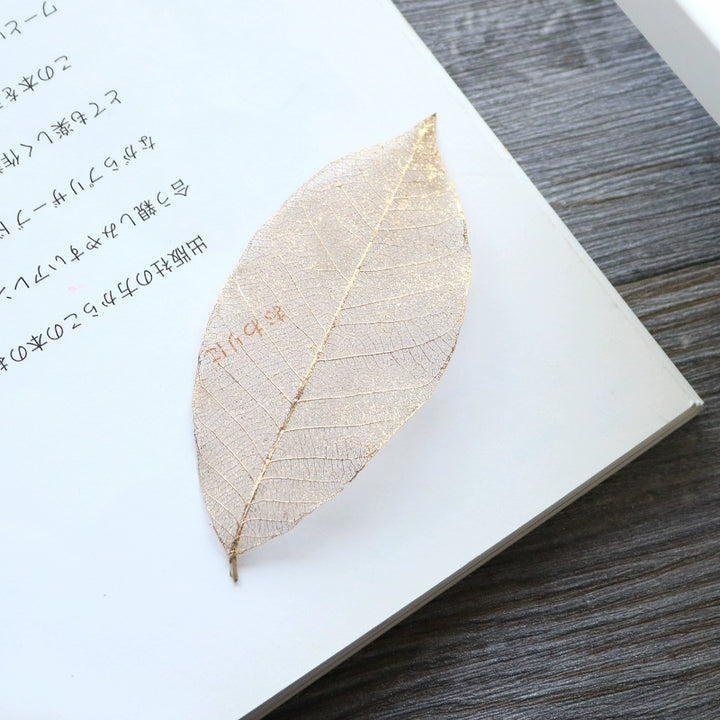 transparent-skeleton-leaves-for-diy-floral-decoration-7-9cm-multi-color-preserved-leaves
