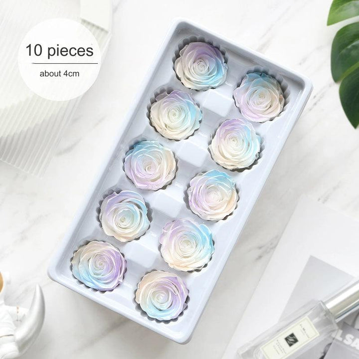 Iridescent Preserved Roses, 2-6cm Pack