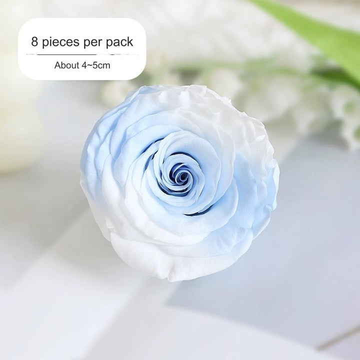 Premium Preserved Blue-White Rose for Floral Arrangements - 2-6cm