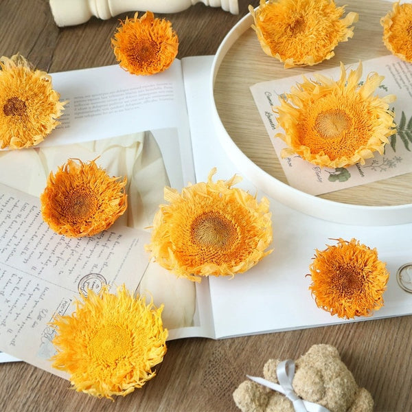 Preserved Sunflower – 7CM Single Bloom for DIY Floral Arrangements and Decor