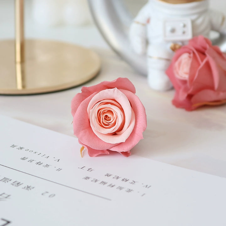 Elegant Preserved Primavera Roses - Single Bloom 3.5-4.5cm