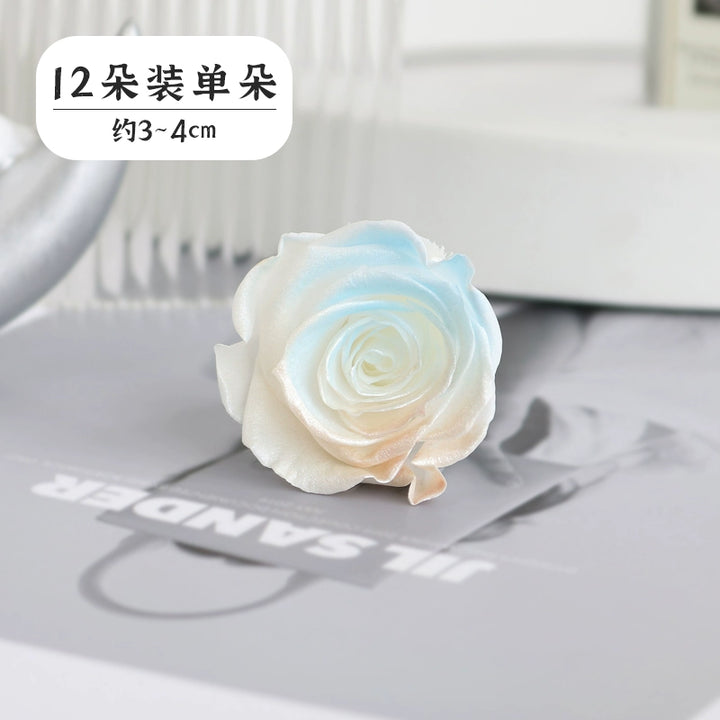 Pearlescent Preserved Rose For DIY Bouquet – 5-6CM Bloom for Crafting and Decor