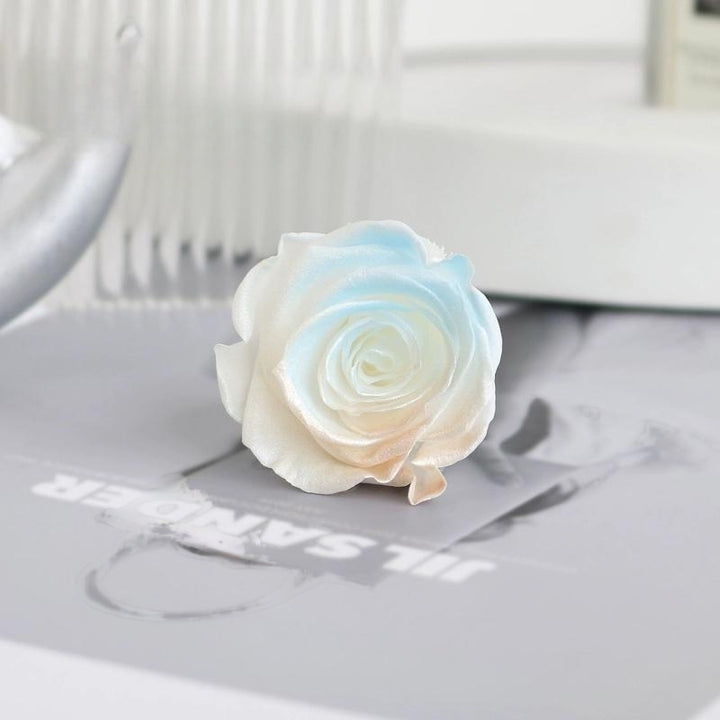 Pearlescent Preserved Rose For DIY Bouquet – 5-6CM Bloom for Crafting and Decor