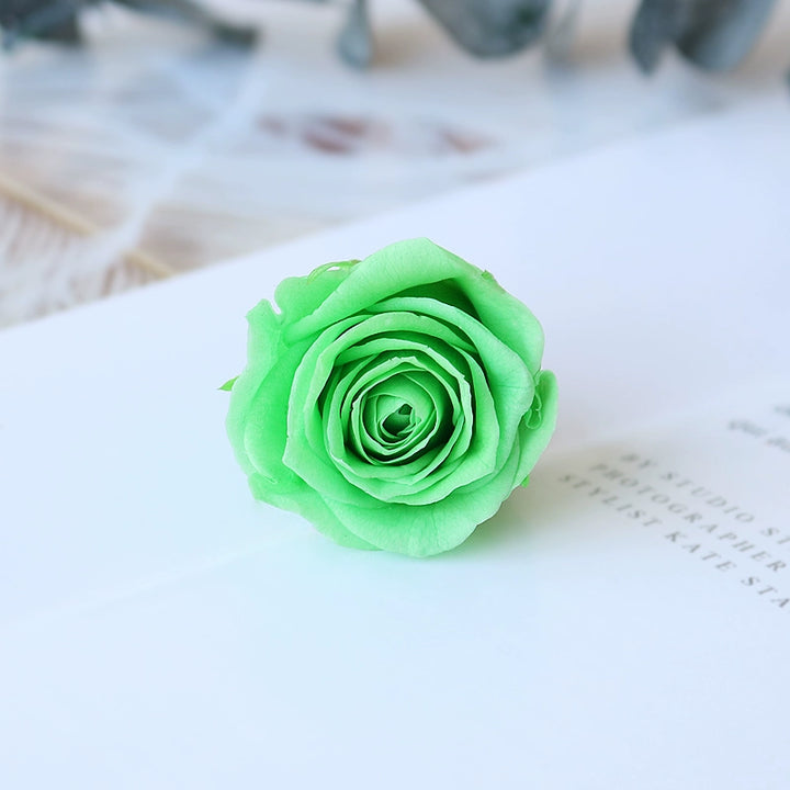 Preserved Mini Roses – 2-3CM Single Bloom for DIY Crafts, Multi-Color Options