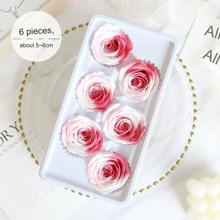 Premium Preserved Pink-White Rose, 2-6cm