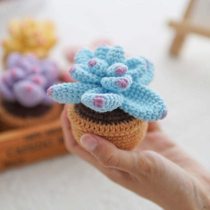 Crocheted Small Potted Succulent Plants