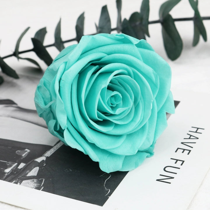 Preserved Single Rose Head for DIY Crafting – 4-5cm, Multiple Color Options