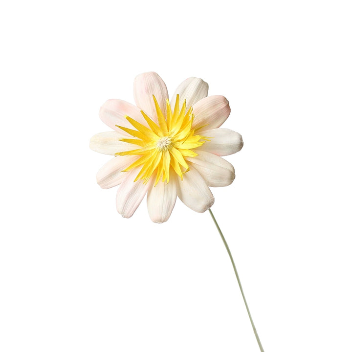 Colorful Preserved Daisy Flowers – Single Bloom for DIY Floral Crafts