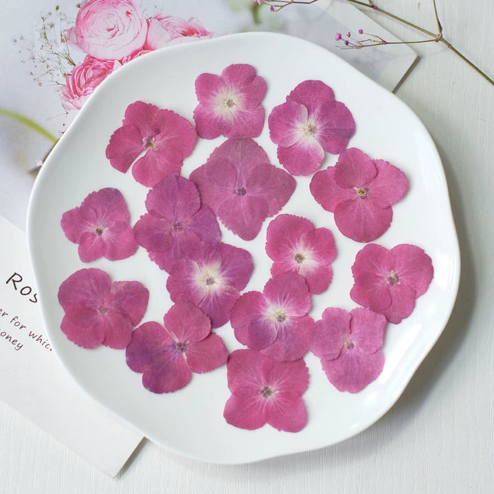 50 Pcs Pressed Dried Hydrangea Flower for DIY Crafts