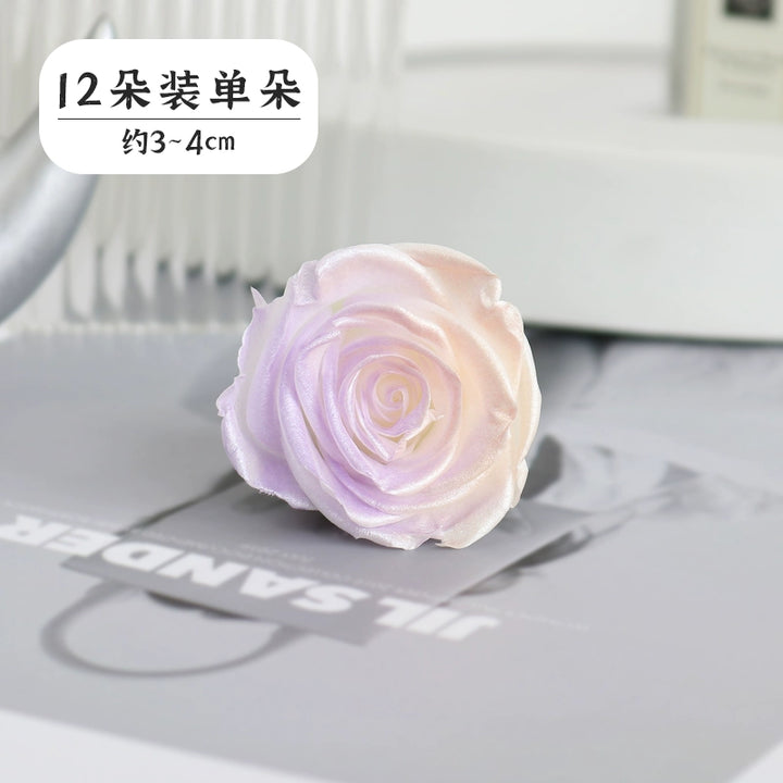 Pearlescent Preserved Rose For DIY Bouquet – 5-6CM Bloom for Crafting and Decor