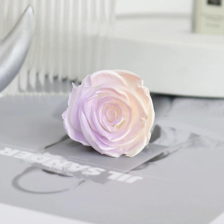 Pearlescent Preserved Rose For DIY Bouquet – 5-6CM Bloom for Crafting and Decor