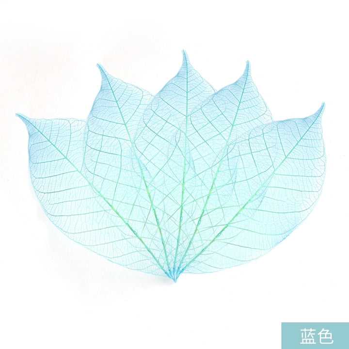 transparent-skeleton-leaves-for-diy-floral-decoration-7-9cm-multi-color-preserved-leaves