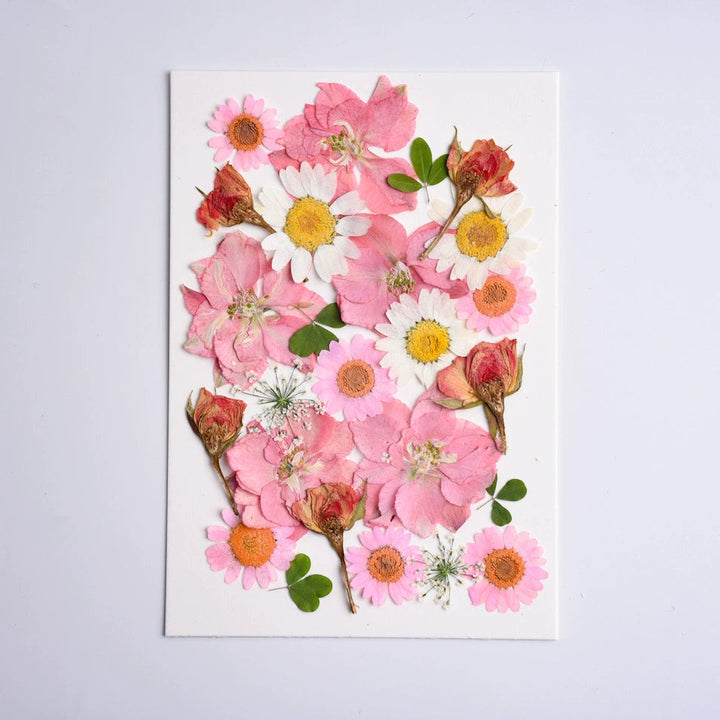 26 Pcs Real Dried Pressed Flowers for Resin Crafts