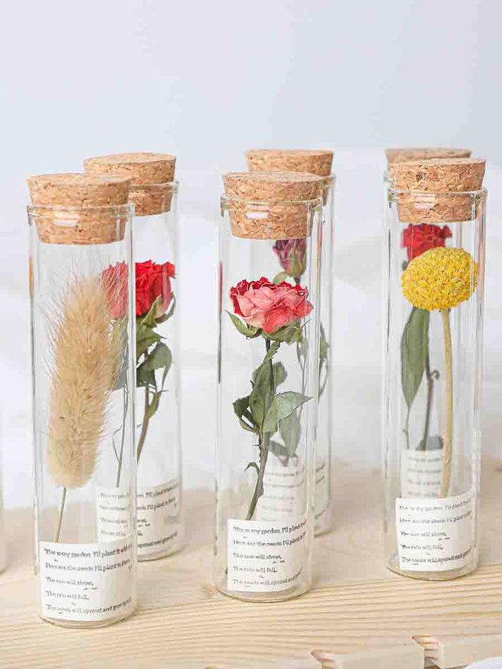 Dried Preserved Flower In Glass Test Tube