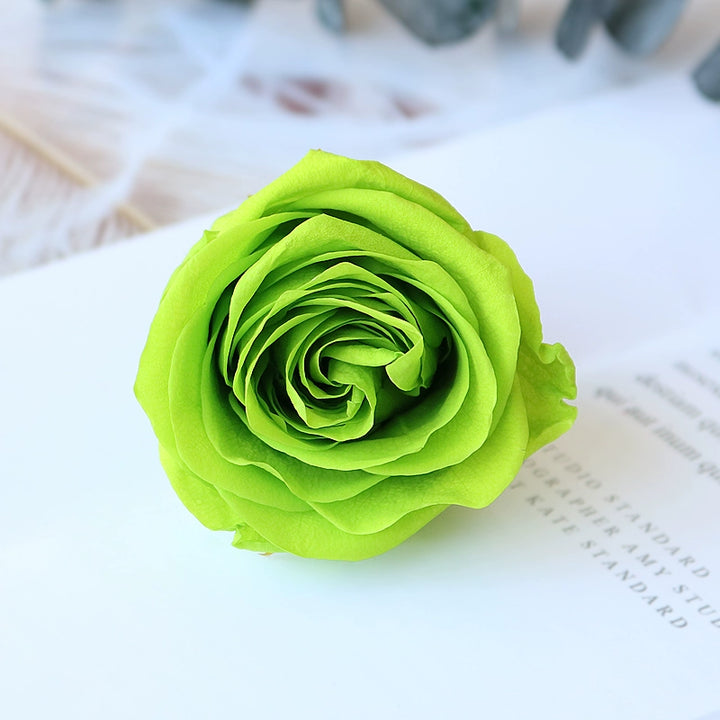 Preserved Single Rose Head for DIY Crafting – 4-5cm, Multiple Color Options