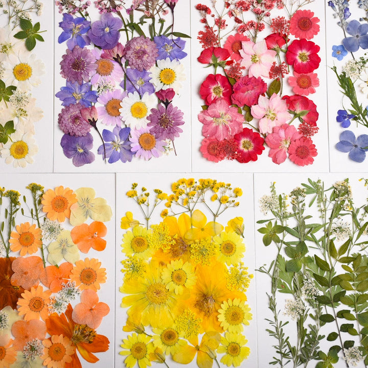 26 Pcs Real Dried Pressed Flowers for Resin Crafts