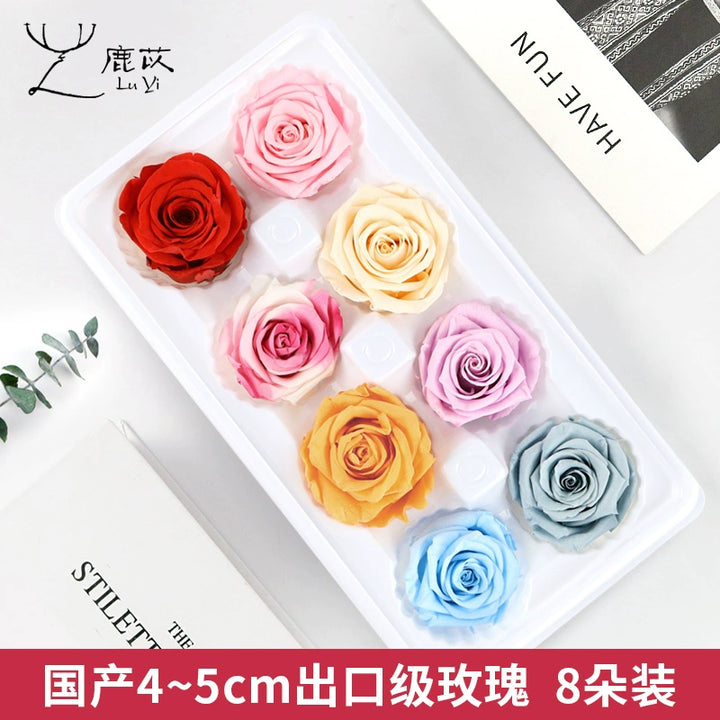 Preserved Single Rose Head for DIY Crafting – 4-5cm, Multiple Color Options