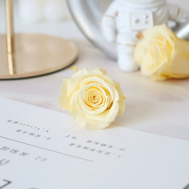 Elegant Preserved Primavera Roses - Single Bloom 3.5-4.5cm