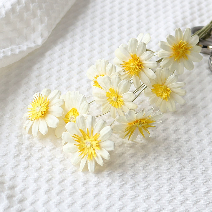 Preserved Daisy For DIY Craft (10 Stems) – 5-6CM Blooms for Floral Decor