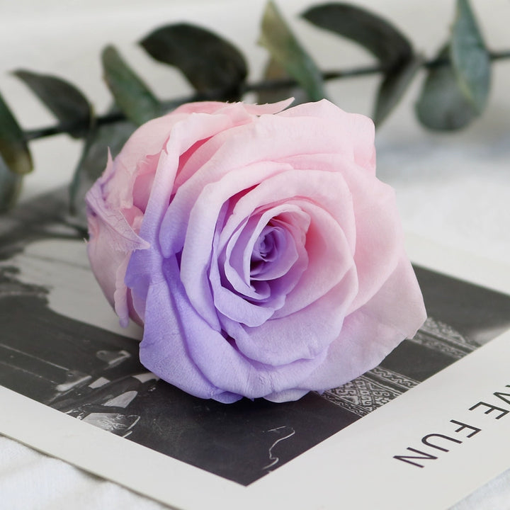 Preserved Single Rose Head for DIY Crafting – 4-5cm, Multiple Color Options