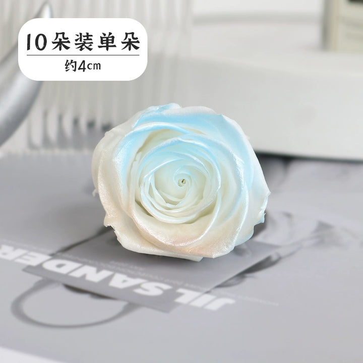 Pearlescent Preserved Rose For DIY Bouquet – 5-6CM Bloom for Crafting and Decor