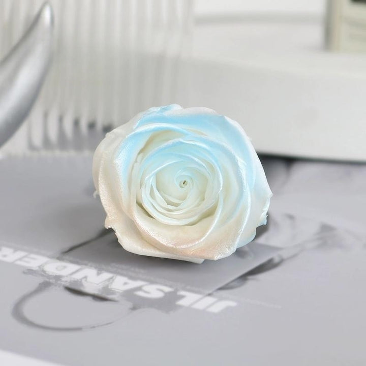 Pearlescent Preserved Rose For DIY Bouquet – 5-6CM Bloom for Crafting and Decor