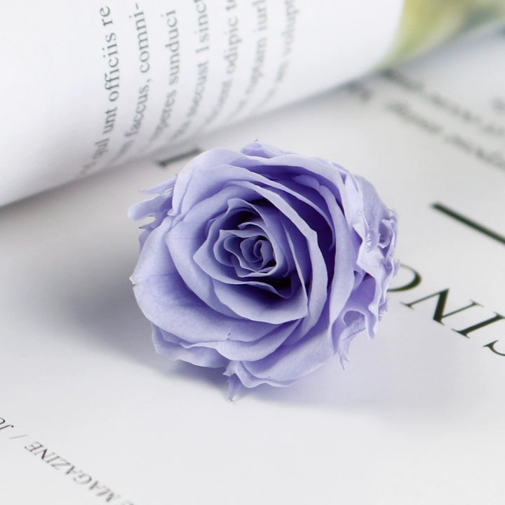 Mini Preserved Roses 2-10cm for Keychain and DIY Crafts